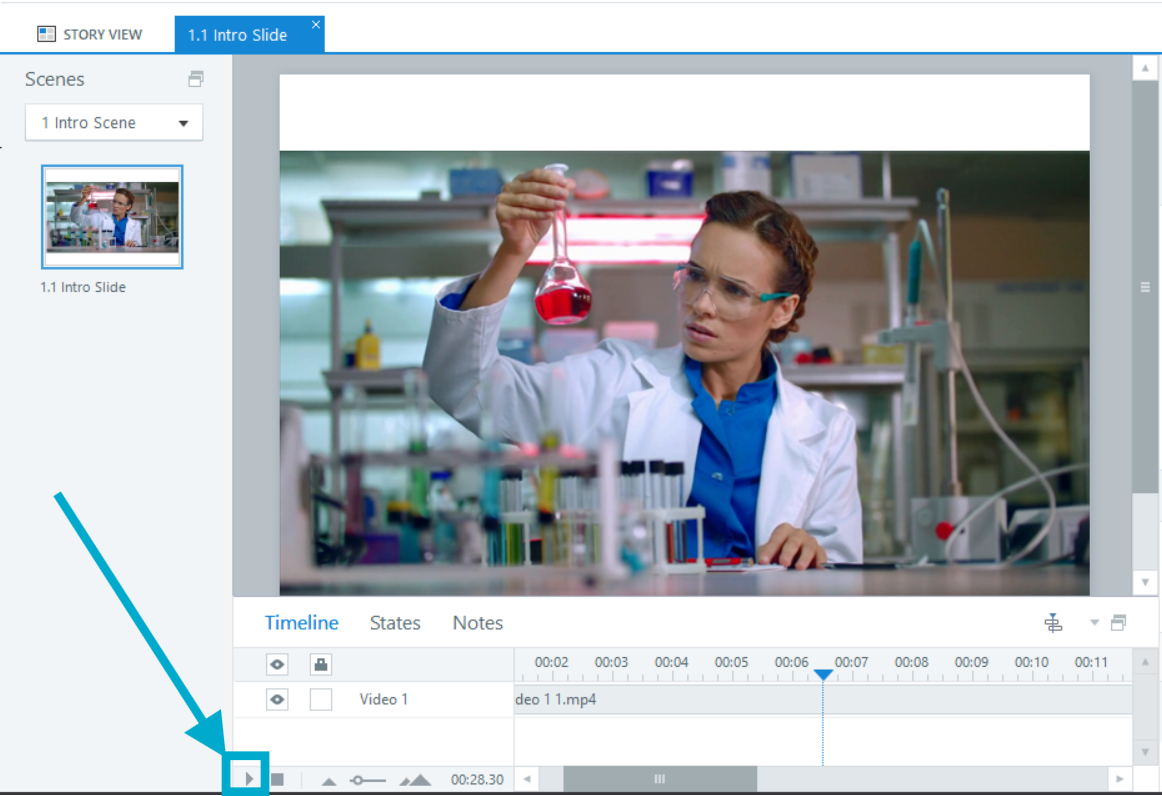 Play button on the Storyline timeline