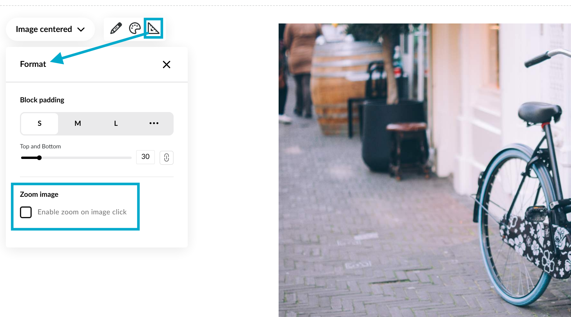 Remove the ability to click-to-zoom.
