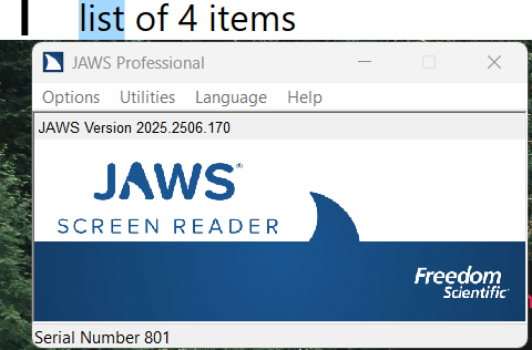JAWS test result