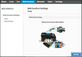 Clicking Continue on the Web Services tab