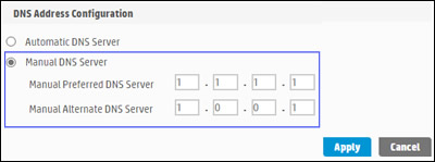 Clicking Manual DNS Server and entering the two DNS Server values