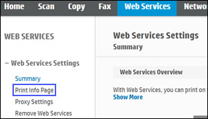 Clicking Print Info Page