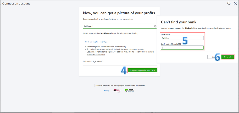 RequestSupportForRaiffeisenBank.PNG