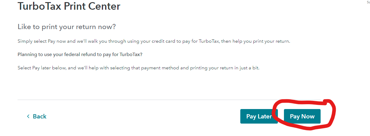 Insert pay now pic